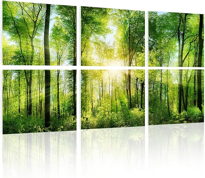 YPY Sound Proofing Panels for Walls Morning sunrise forest green trees: 6 Pack