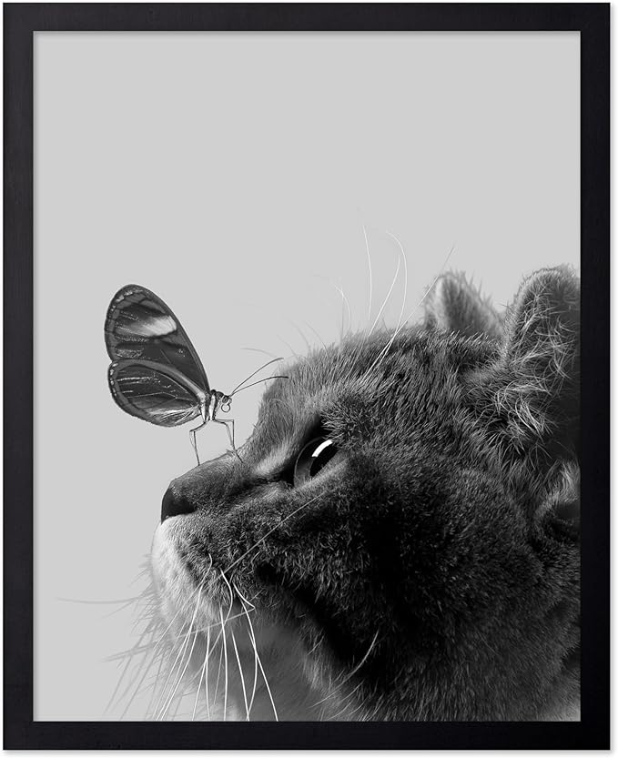 Poster Master Butterfly on Cat Print