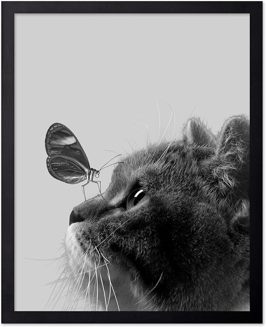 Poster Master Butterfly on Cat Print