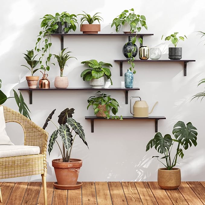 DINZI LVJ Long Wall Shelves, 31.5 Inch Wall Mounted Shelves Set of 2,
