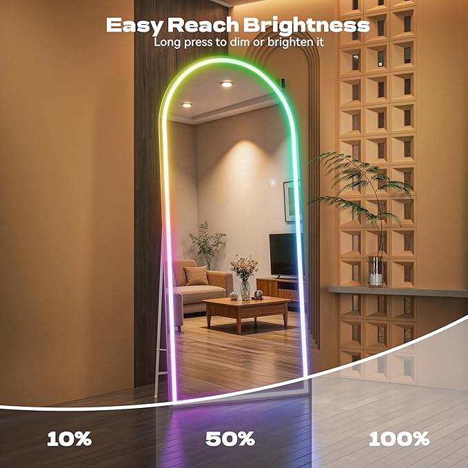 Hasipu Arch Full Length Mirror 75 x 28 in
