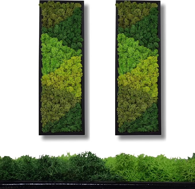 yersiz Large Moss Pattern Wall Art, Real Moss Wall Art