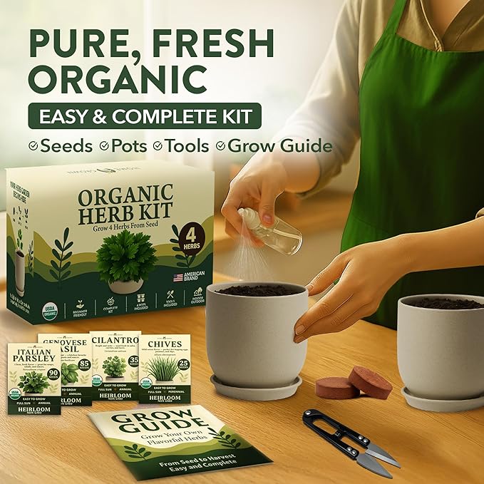 HOME GROWN Bonsai Tree Starter Kit – Unique Christmas Gift for Adults, Men, Women - Grow 4 Bonsais & Indoor Organic Herb Garden Kit – Unique Christmas Gift for Adults, Men, & Women - Grow 4 Herb Seeds