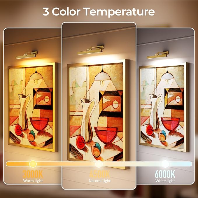 Afyuol Picture Lights for Wall, Brass Battery Operated Picture Light 16in Art