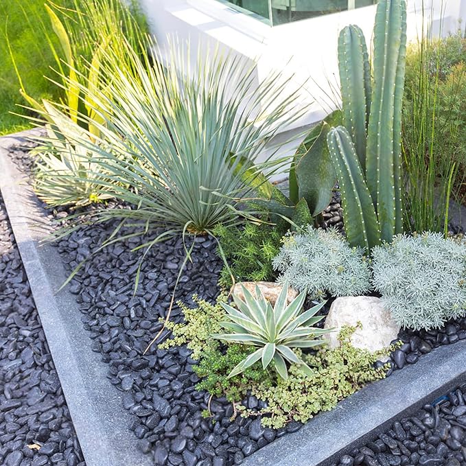 FANTIAN 20 lbs Black River Rocks for Landscaping, 1-2 Inch Decorative Black Pebbles for Indoor Plants, Vase Fillers, Garden, Potted Plant Rocks, Paving, Fountain and Outdoor Decoration Black Stones