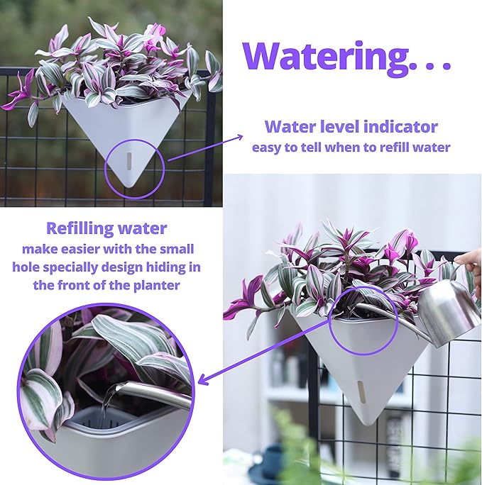 LaLaGreen Wall Planters for Indoor Plants