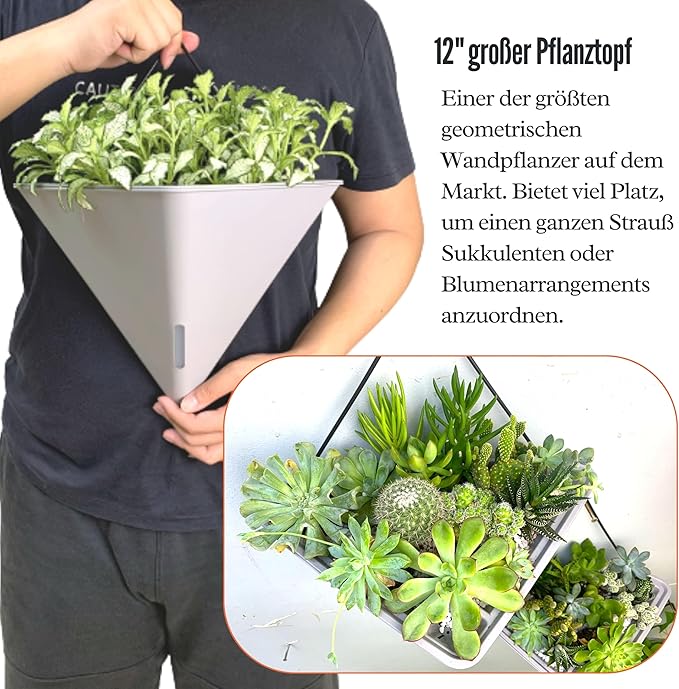 LaLaGreen Succulent Wall Planters