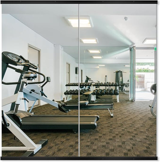 Delma Home Gym Mirror