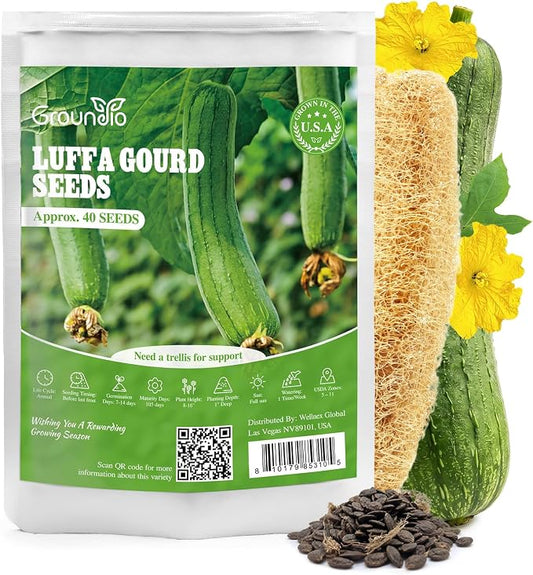 Groundio 40+ Luffa Seeds â Non-GMO Heirloom Loofah Sponge Gourd Seed, Edible & Natural Sponge, Home Garden Outdoor Planting (Luffa aegyptiaca)