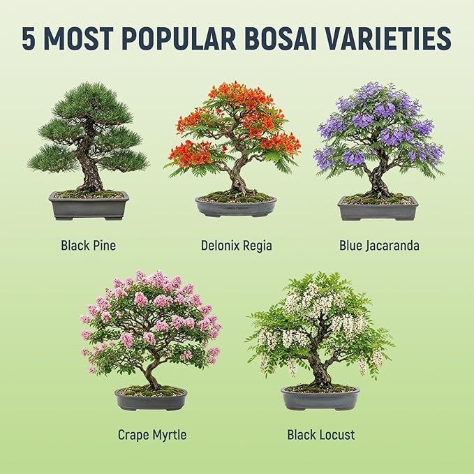 Bonsai Tree Kit - Complete Indoor Bonsai Starter Kit with 5 Unique Tree Seeds, Bonsai Tools - DIY Gardening Gift for Adults Women Men, Mom, Her, Friend (5 Bonsai Trees)