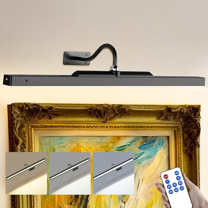 24 Inch Picture Light