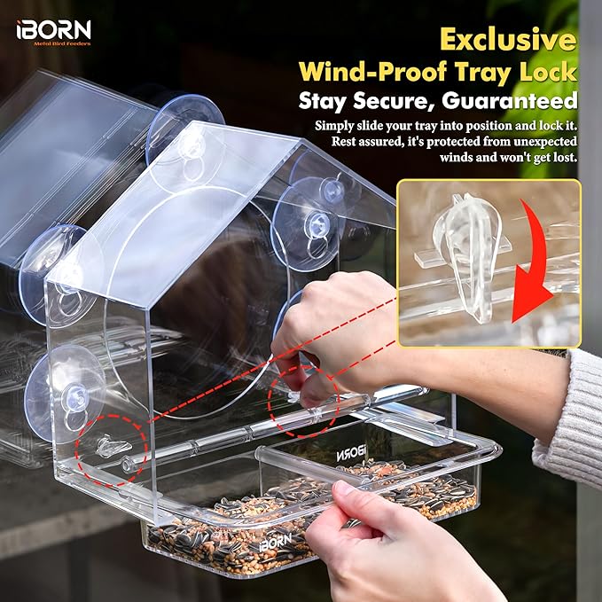 iBorn 2026 New Window Bird Feeders for Outdoors Wind-Proof Tray Lock,Cardinal Bird Feeder with Strong Suction Cups for Window Birds Watching, Chewproof PC, for Parent &Child