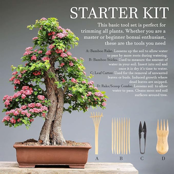 BambooMN Bonsai Tree Pruning Trimming Starter Tool Kit - Leaf Trimmers, and Bamboo Rake - 10 Sets