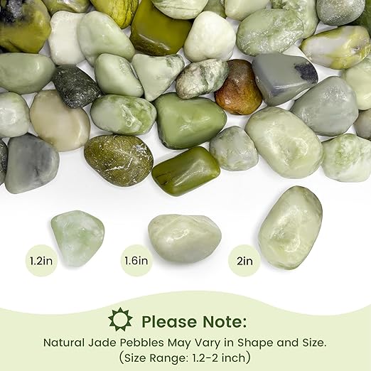 SIDONG 5 LB Jade Pebbles, 1.2-2Inch Natural Decorative Polished Jade Stones, Jade River Rocks for Succulents, Cactus, Vases, Indoor Plants, Garden Landscaping, Bamboo