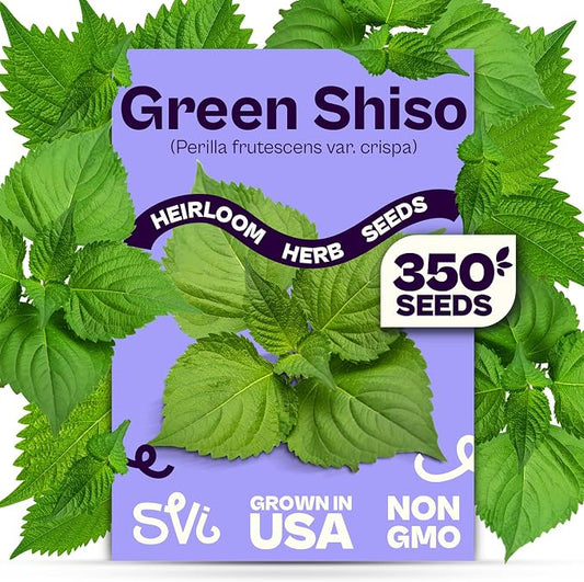 SVI 350 Green Shiso Seeds (Perilla frutescens) â Japanese Shiso Perilla Seed Packets, Aromatic Leaves â Japanese Heirloom Herb Seeds Outdoors & Indoor Herb Garden