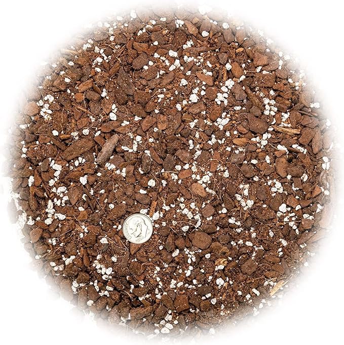 Gardenera Split Leaf Philodendron Soil Mix - Expertly Formulated for Strong Root Development - 2 Quart