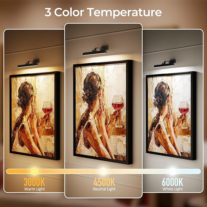 Afyuol Picture Lights for Wall, Battery Operated Gallery Light 16in for