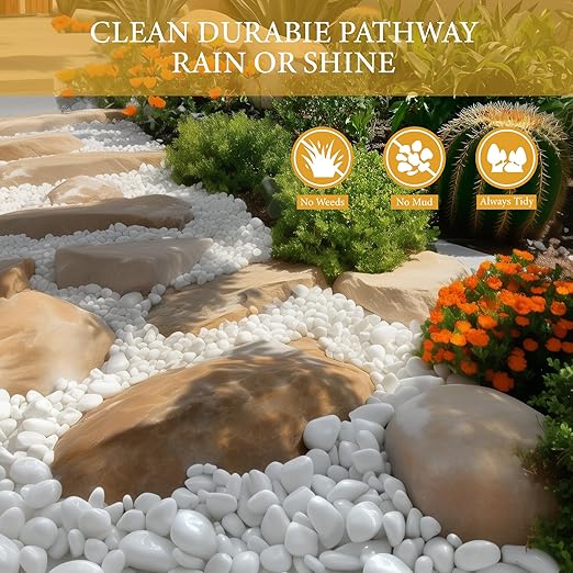 9lb White River Rocks for Plants, 1-3 Inch Pebbles for Indoor Plants, Polished Garden Rocks Outdoor Landscaping, Decorative Stones for Vases, Succulents, Aquarium, Walkways