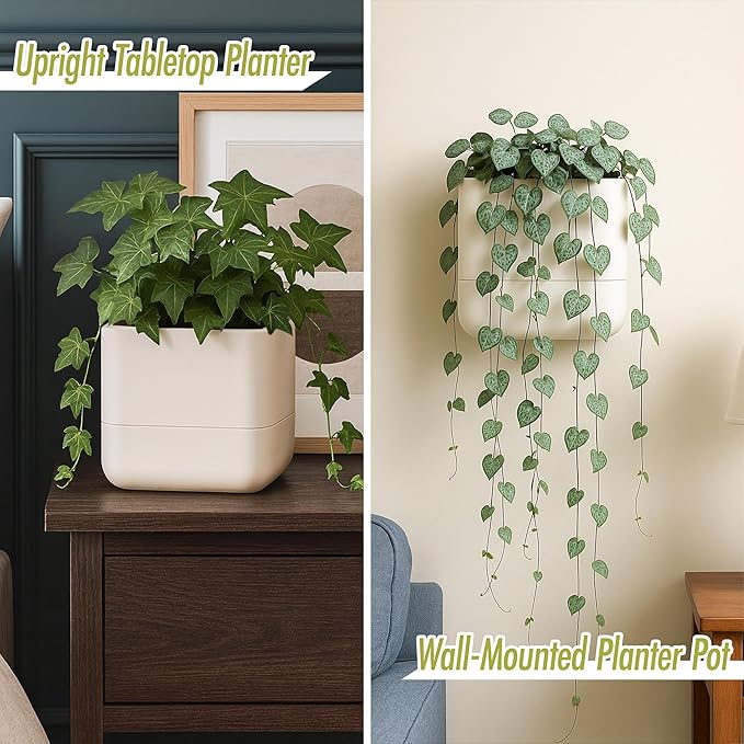 Phoenix Vine 6.5 Inch Wall Mounted Self-Watering Planter Pot