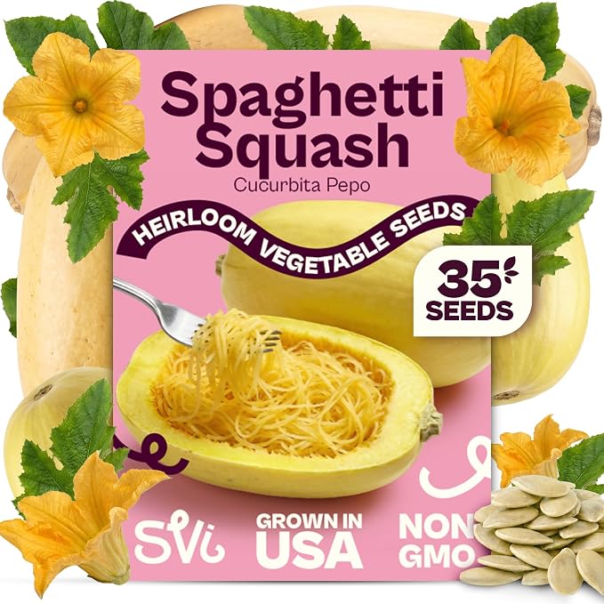 SVI 35 Winter Spaghetti Squash Seeds (Cucurbita Pepo) â Yellow Winter Squash Spaghetti Seed Packets, Long Storage â Heirloom Vegetable Seeds for Outdoor Vegetable Garden, Raised Beds, Peat Pots