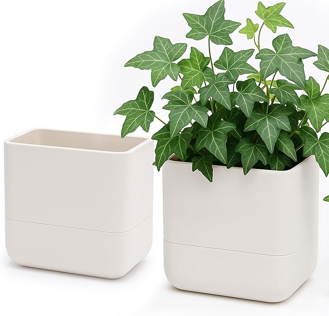 Phoenix Vine 6.5 Inch Wall Mounted Self-Watering Planter Pot