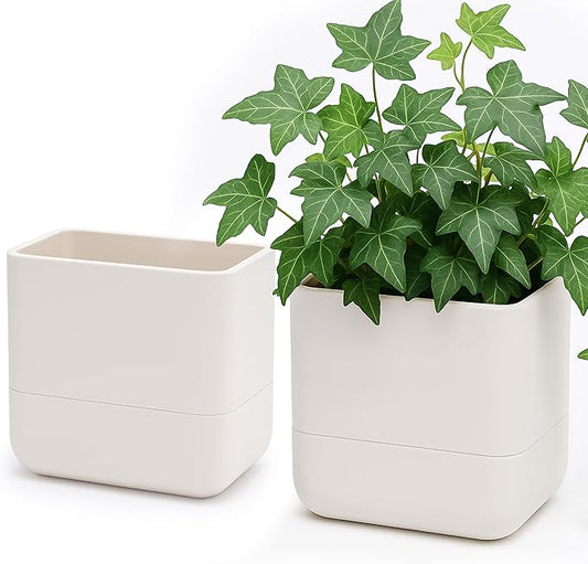 Phoenix Vine 6.5 Inch Wall Mounted Self-Watering Planter Pot