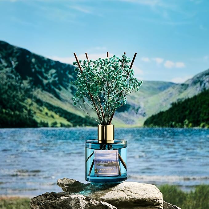 COCORRÍNA Reed Diffuser - Lake Tahoe 6.7 Fl.oz Reed Diffuser Set with 8 Sticks & Preserved Baby's Breath, Reed Diffuser for Home Bathroom Shelf Decor