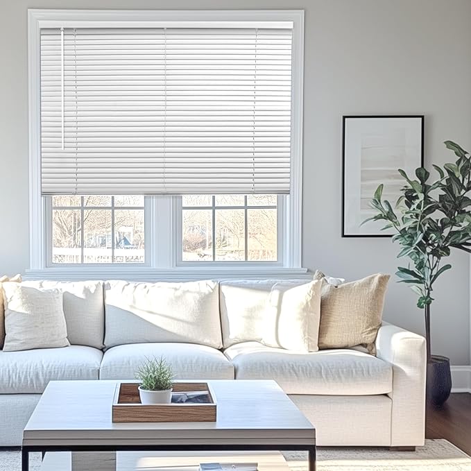 CHICOLOGY Mini Blinds for Indoor Windows – 31"W X 64"H, Kitchens & Apartments