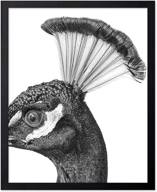 Poster Master Vintage Peacock Poster