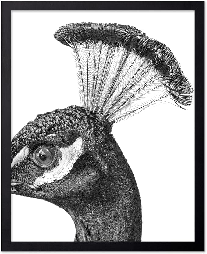 Poster Master Vintage Peacock Poster