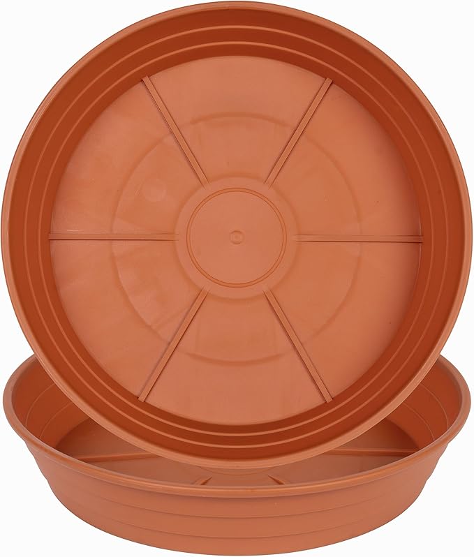 Plant Saucer 14 Inch 2 Pack 6 8 10 12 14 16 18 20 25, Plastic Plant Trays for Potsï¼Extra-Deep Plant Water Dray Tray, Bird Bath Bowl, Heavy Flower Plant Saucers Indoors and Outdoor No Holes
