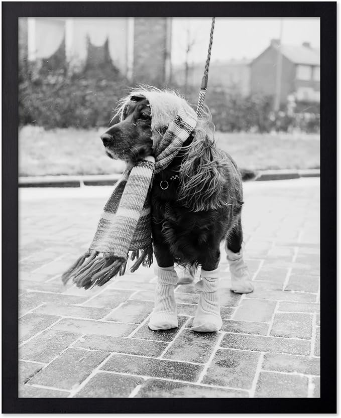 Poster Master Dog Dressed for Winter Print