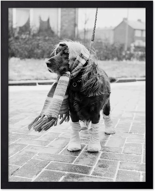 Poster Master Dog Dressed for Winter Print