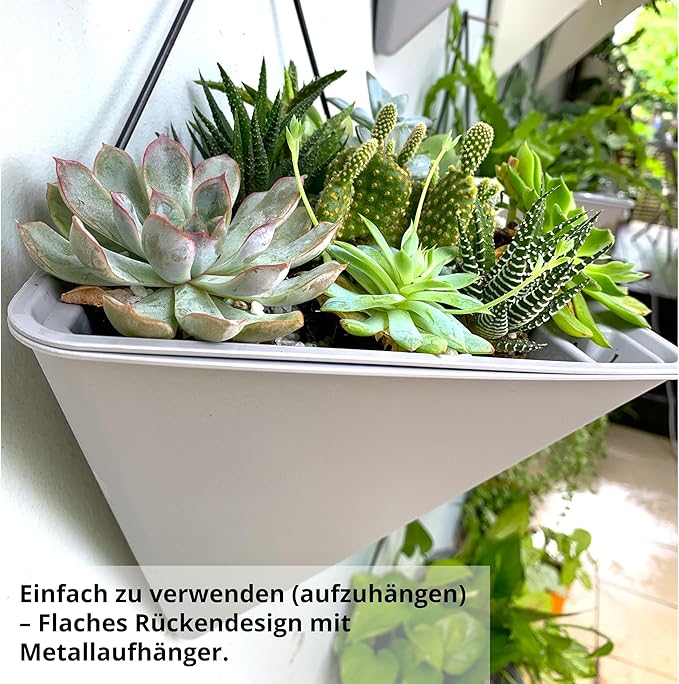 LaLaGreen Wall Planters for Indoor Plants