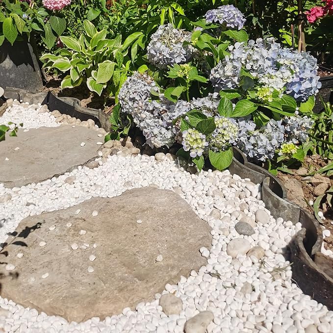 FANTIAN 20 lbs White River Rocks for Landscaping, 0.5-1 Inch Pebbles for Indoor Plants, Decorative Stones for Succulent, Cactus, Vases, Aquariums, Crafting and Garden