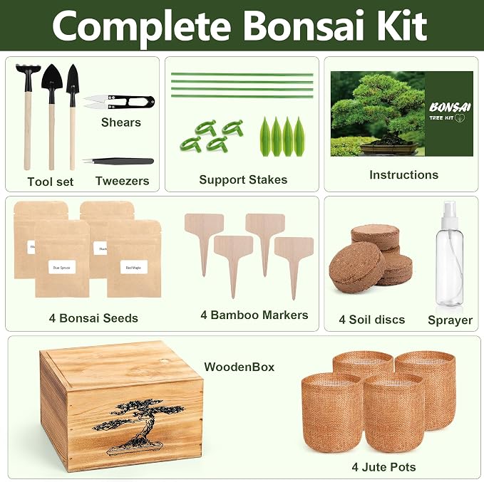 4 Pack Bonsai Tree Kit - 4 Seeds Growing Plant Bonsai Tree Live Kit for Beginners, Easy to Grow Complete Indoor Garden Starter Kits with Wooden Box & Tools, Christmas Gifts for Men Women Plant Lover