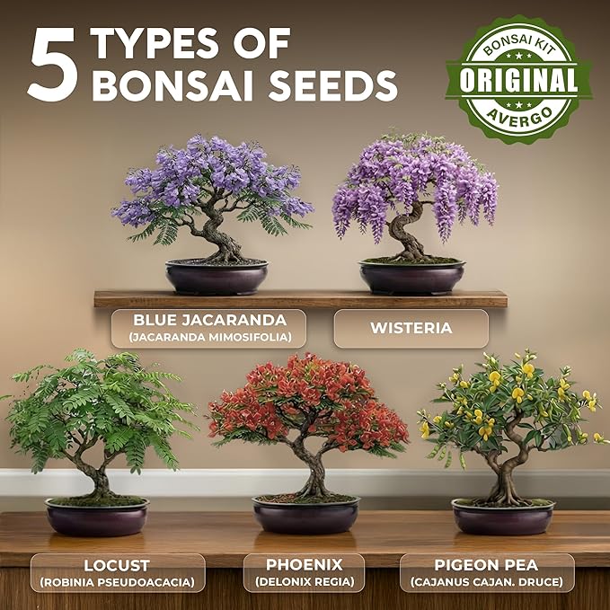 Bonsai Tree Kit Classic - 5X Unique Japanese Bonzai Trees | Complete Indoor Bonsai Starter Kits for Growing Trees – DIY Gardening Gifts for Mother, Women & Men, for Father's Day