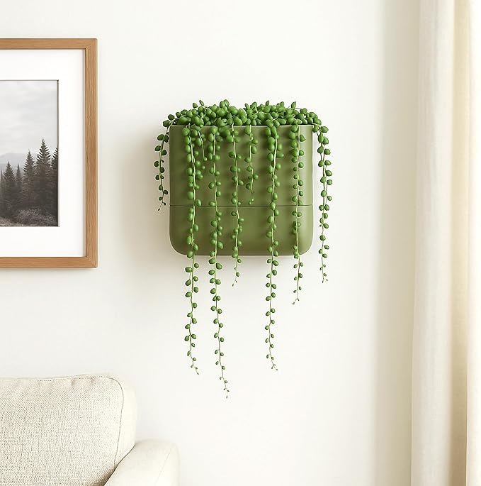 Phoenix Vine 6.5 Inch Wall Mounted Self-Watering Planter Pot