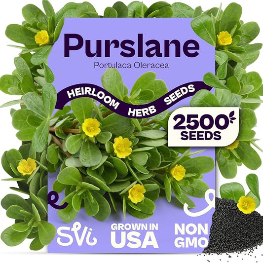 SVI 2500 Purslane Seeds (Portulaca oleracea) â Common Purslane, Verdolaga Seed Packets Bulk, Pigweed, Succulent Grow â Heat & Drought Tolerant Heirloom Herb Seeds, Indoor Herb Garden & Outdoor Garden
