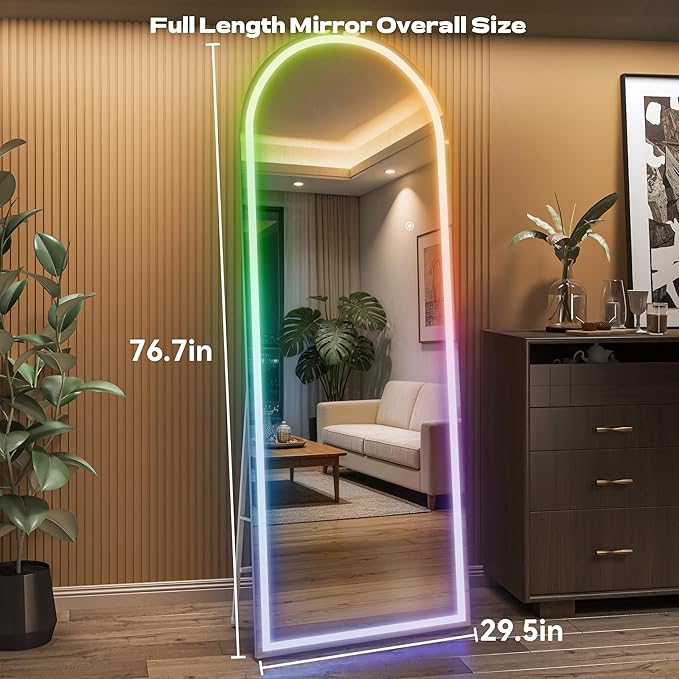 Hasipu Arch Full Length Mirror 77 x 30 in