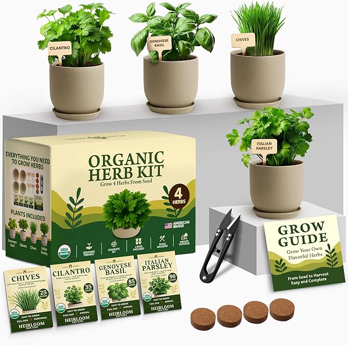 HOME GROWN Bonsai Tree Starter Kit – Unique Christmas Gift for Adults, Men, Women - Grow 4 Bonsais & Indoor Organic Herb Garden Kit – Unique Christmas Gift for Adults, Men, & Women - Grow 4 Herb Seeds