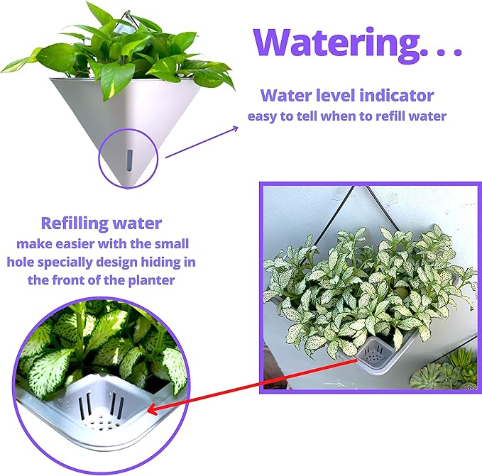 LaLaGreen Wall Planters