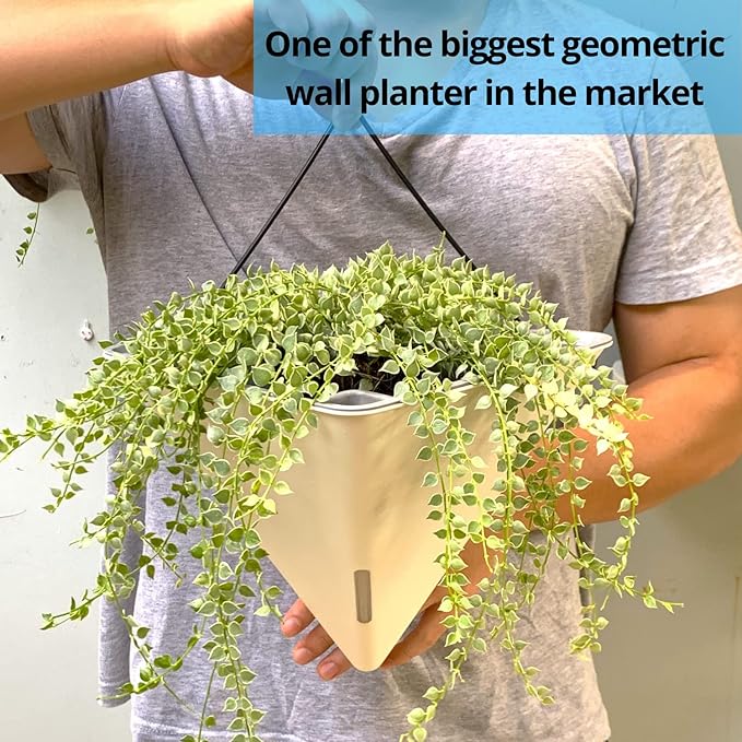 LaLaGreen Wall Planters for Indoor Plants
