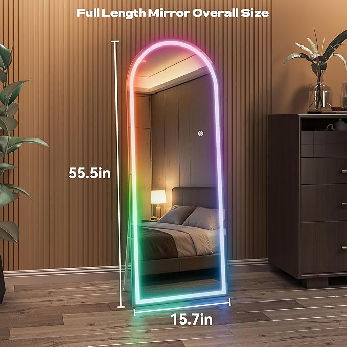Hasipu Arch Full Length Mirror 55.5 x 15.7 in
