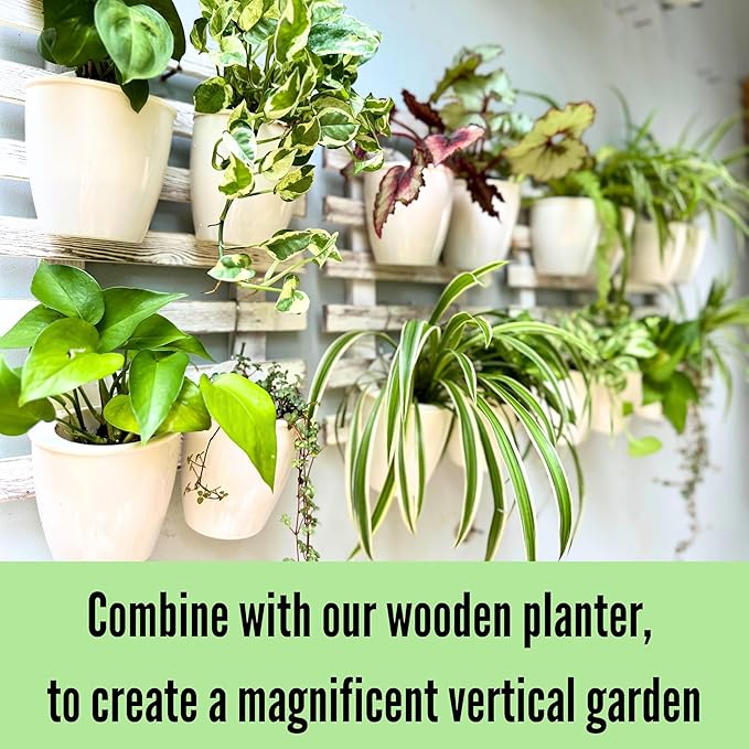 LáLáGreen Wall Planters for Indoor Plants