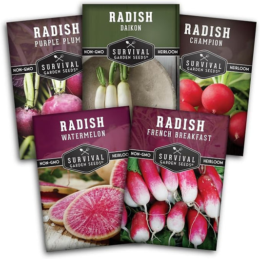 Radish Seeds Variety Pack â 5 Packets | Heirloom Non-GMO Radishes for Planting: Daikon, Watermelon, Purple Plum, French Breakfast & Champion â Survival Garden Seeds