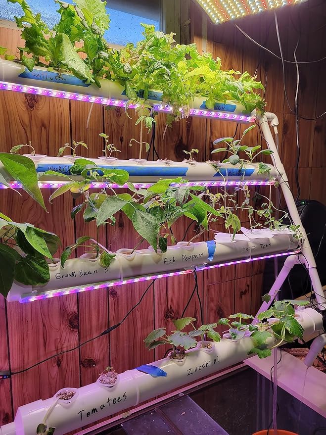Hydroponics Growing System Kit 36 Plant Sites Food-Grade PVC-U Pipes Hydroponic Grow Kit Gardening System for Vegetables,Fruits,Herb