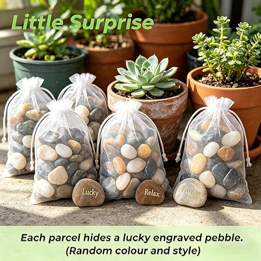 SIDONG 10 LB Mixed River Rocks, 0.3-0.5 Inches High Polished Pebbles for Indoor Plants, Aquarium Rocks Used in Fish Tank, Decorative Stones for Plants, Vases, Home Décor, Crafting, Garden Landscaping