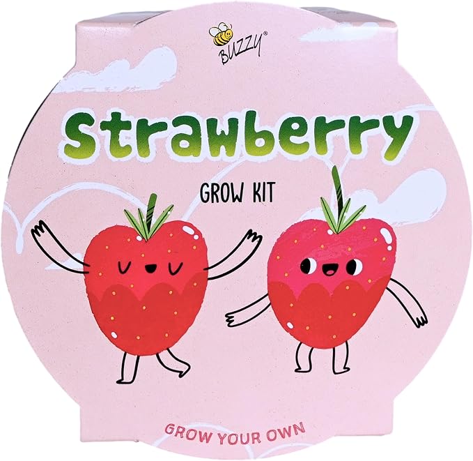 Buzzy Seeds Strawberry Grow Kit - Basin Ceramic Planter - Complete Indoor/Outdoor Gardening Kit with Seeds, Coconut Husk Growing Medium & Genuine Pots - 100% Grow Guarantee