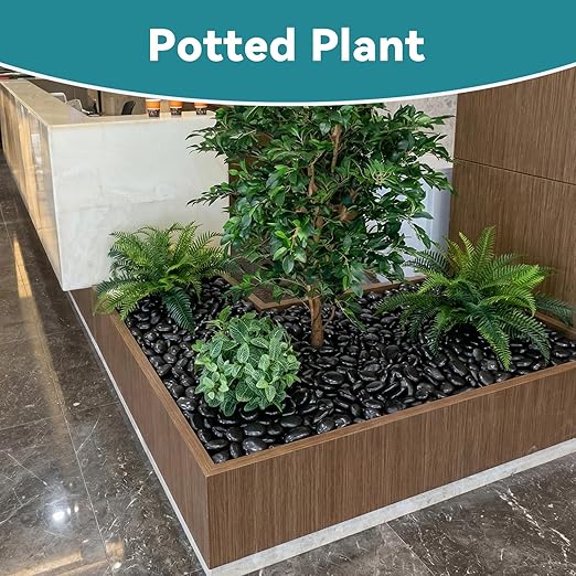40lbs Black Rocks for Planters, 2-3 Inch Decorative Rocks for Potted Plants, Polished Garden Stones for Outdoor Landscaping, Walkways, Yard, River Rocks for Flower Pots, Vase